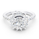 The Lucca